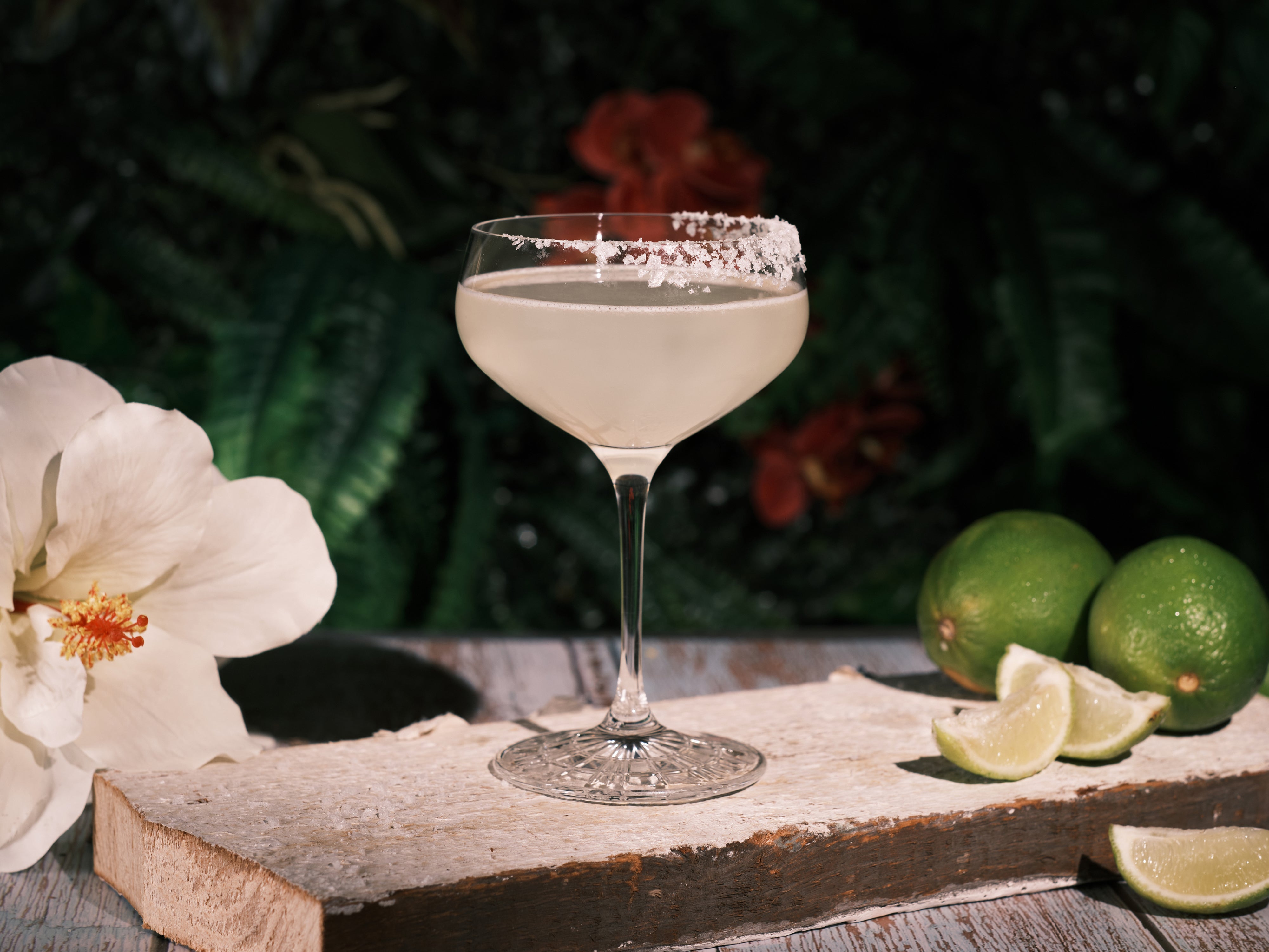 Perfect Coupette Glass